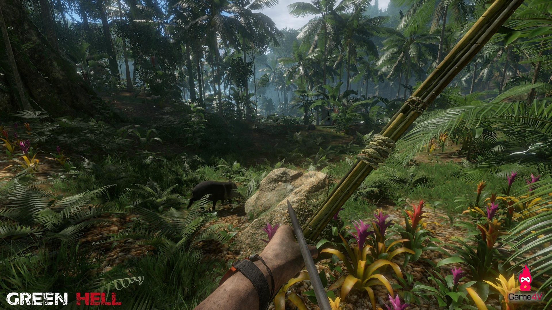 Green Hell, tựa game sinh tồn trong rừng Amazon đến từ nhà phát triển Dying Light & Dead Island