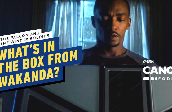 Thứ nằm trong chiếc hộp của người Wakanda mà Bucky đưa cho Sam là gì?