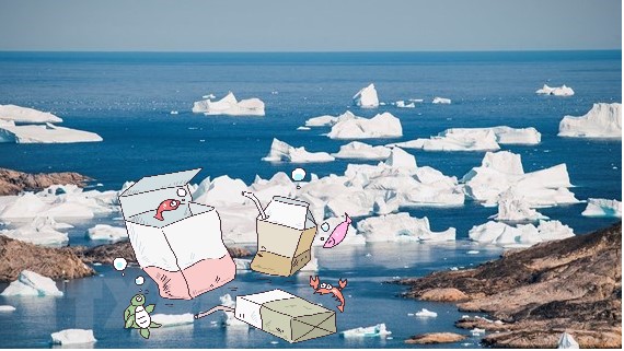 Báo động đỏ cho trái đất hạt vi nhựa đã xuất hiện trong tuyết tại Nam cực