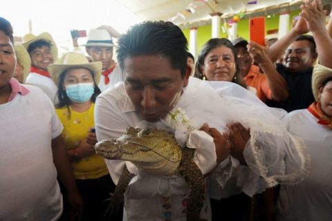 Người đàn ông bất ngờ kết hôn cùng cá sấu [HOT]