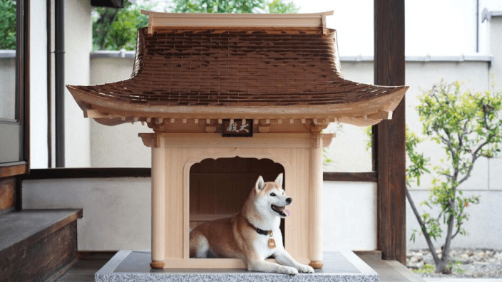 Thu nhỏ cung điện Nhật Bản thành nhà cho thú cưng, netizen trầm trồ trước chuồng chó trị giá 34 triệu [HOT]
