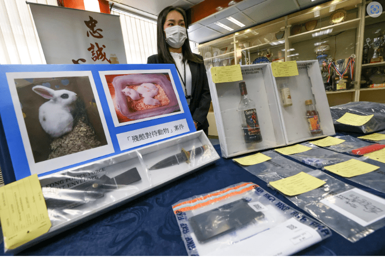 香港魔術師在家做“愛情咒語”被捕