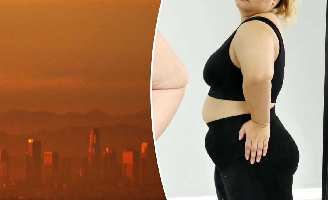 Ô nhiễm không khí đang làm cho phụ nữ béo lên