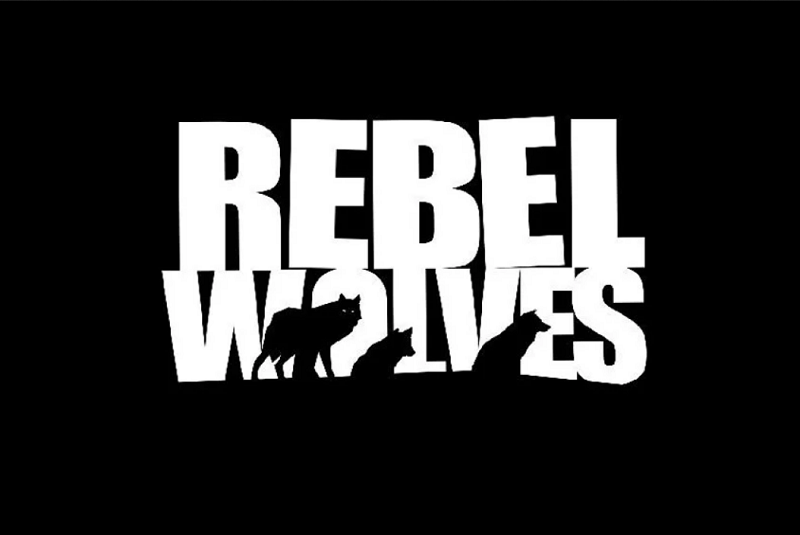 Rebel Wolves có vốn đầu tư để phát triển sản phẩm của mình.