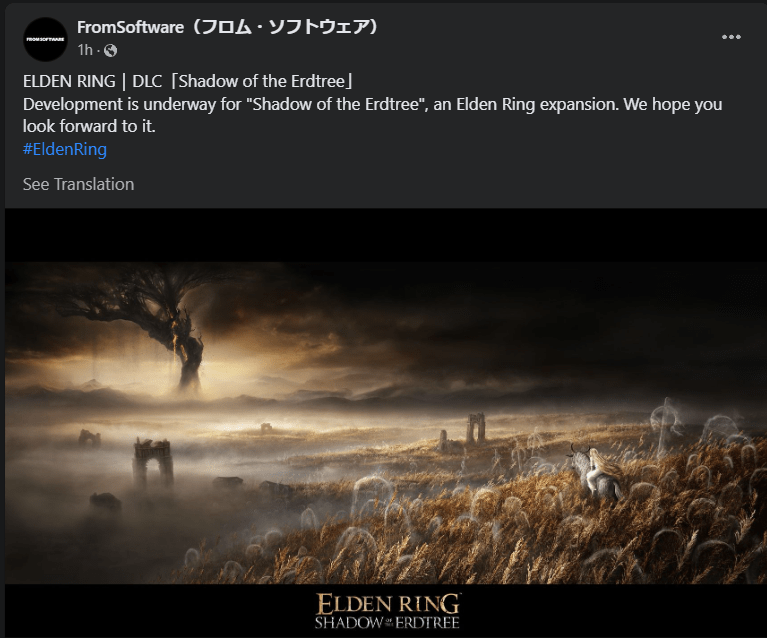 Elden Ring chính thức công bố DLC quy mô khủng đầu tiên mang tên Shadow of the Erdtree